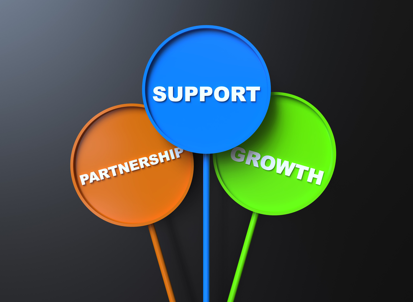 Partnership Support Growth